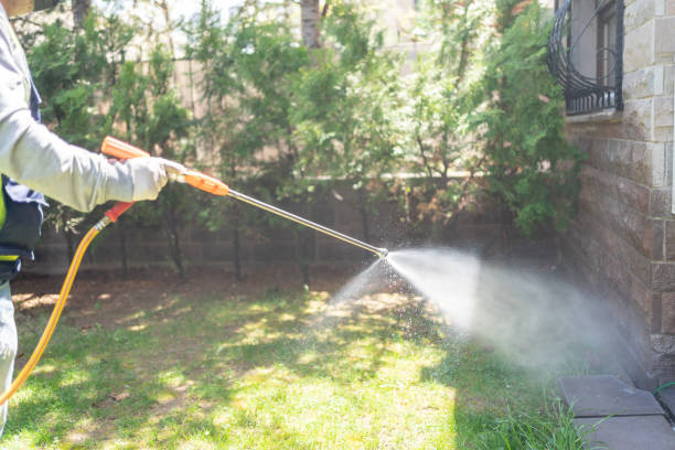 Pest Prevention Services in Bethel, NC