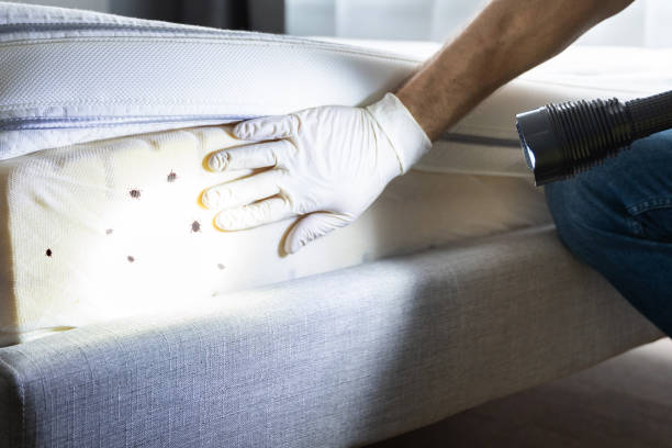 Best Pest Control Near Me  in Bethel, NC