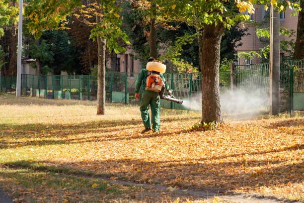 Wildlife Control Services in Bethel, NC
