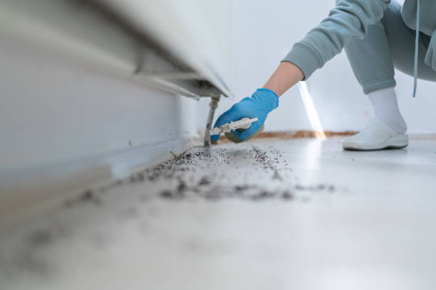 Best Residential Pest Control  in Bethel, NC